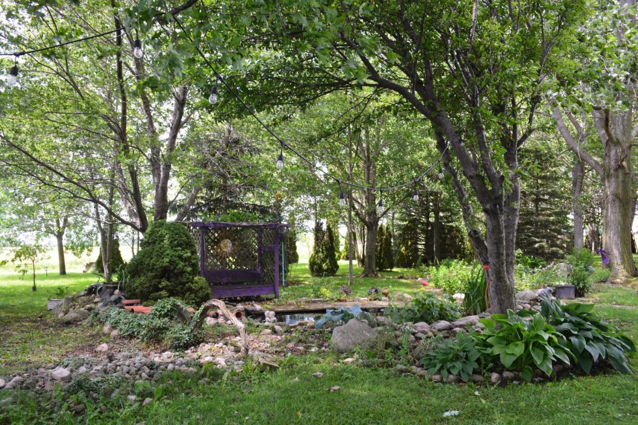Birds Point Cottage On A Cliff Facing Lake Erie. Wheatley Exterior photo